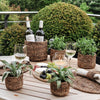 Woven Basket Planter for Indoor/Outdoor Plants from artha collections