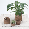 Woven Planter Baskets artisan made home decor from artha collections