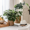 Hand crafted artisan made planter baskets and home decor from artha collections
