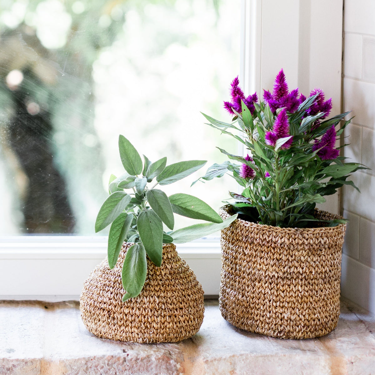Planter Basket Set  Woven Baskets by Artha Collections